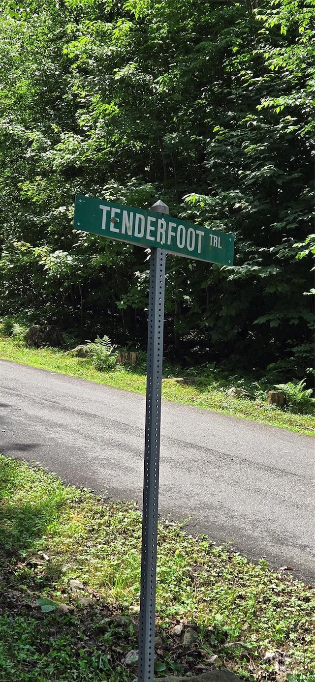 108 Tenderfoot Trail 108 & 109, Maggie Valley, NC 28751 - photo 4