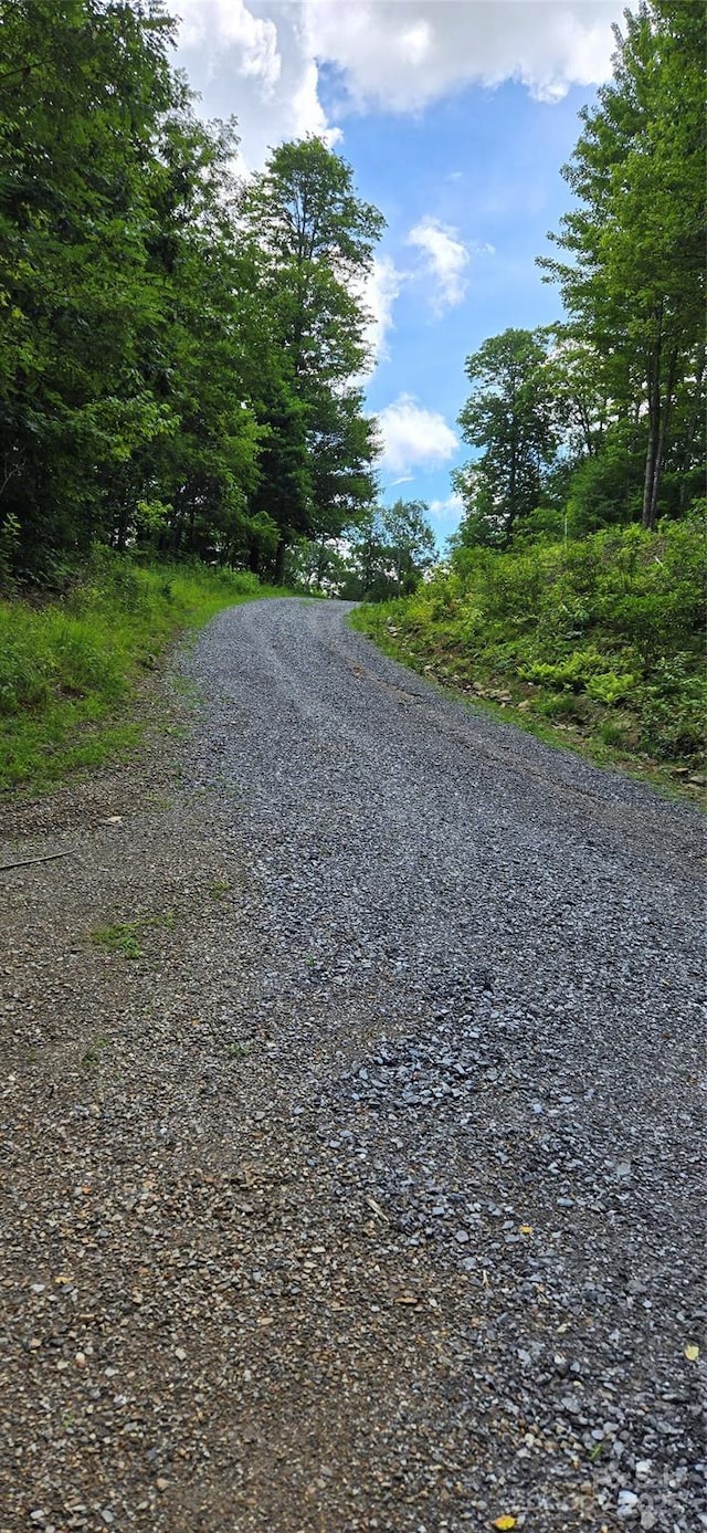 108 Tenderfoot Trail 108 & 109, Maggie Valley, NC 28751 - photo 7