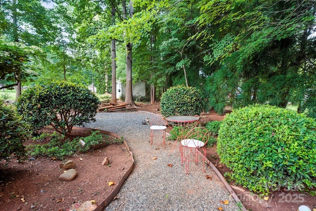 7788 Windy Pine Cir, Denver, NC 28037 - photo 41