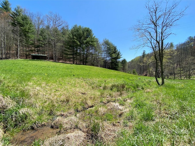292 Crow Ln, Burnsville, NC 28714 - photo 17