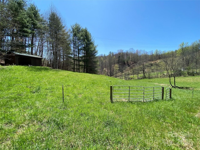 292 Crow Ln, Burnsville, NC 28714 - photo 18