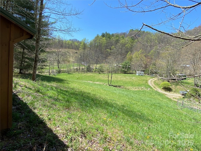 292 Crow Ln, Burnsville, NC 28714 - photo 20