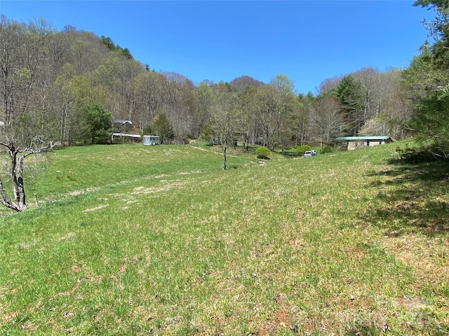292 Crow Ln, Burnsville, NC 28714 - photo 21