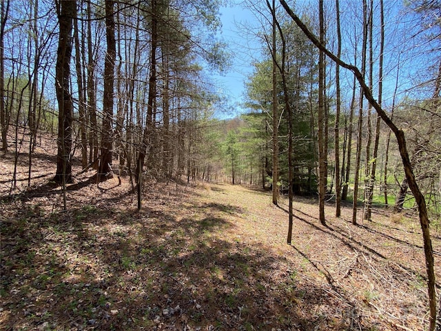 292 Crow Ln, Burnsville, NC 28714 - photo 22