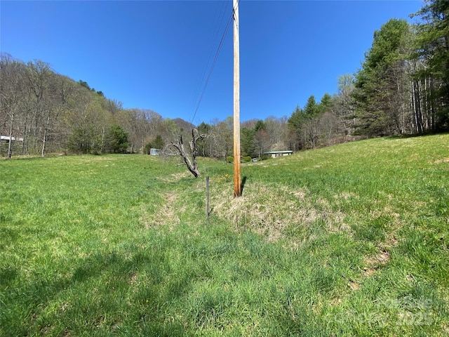 292 Crow Ln, Burnsville, NC 28714 - photo 23