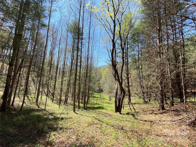 292 Crow Ln, Burnsville, NC 28714 - photo 26