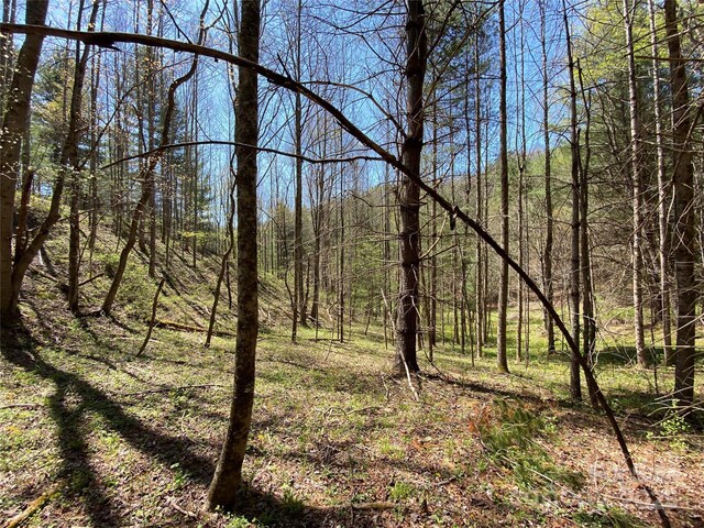 292 Crow Ln, Burnsville, NC 28714 - photo 27