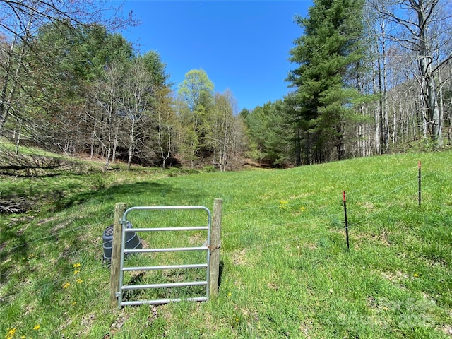 292 Crow Ln, Burnsville, NC 28714 - photo 29