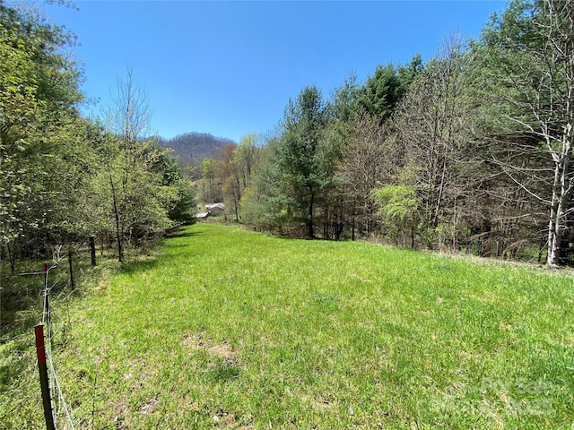 292 Crow Ln, Burnsville, NC 28714 - photo 33