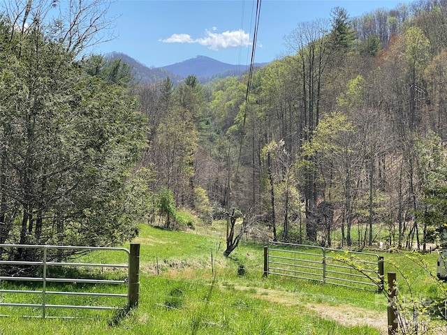 292 Crow Ln, Burnsville, NC 28714 - photo 37