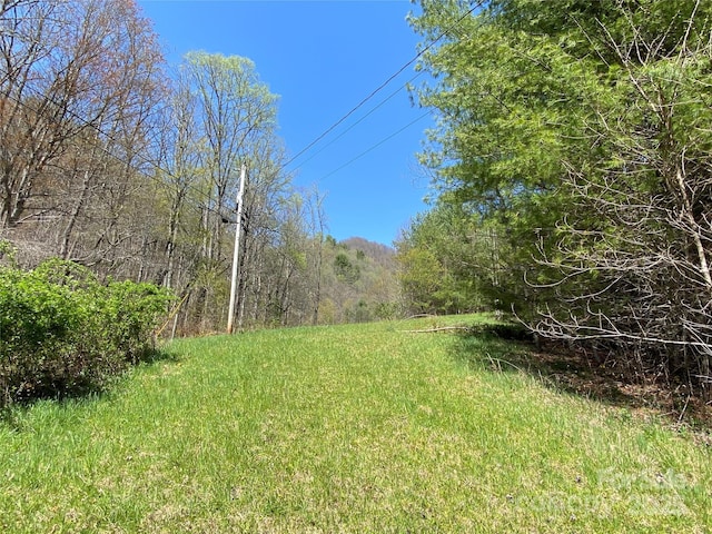 292 Crow Ln, Burnsville, NC 28714 - photo 38