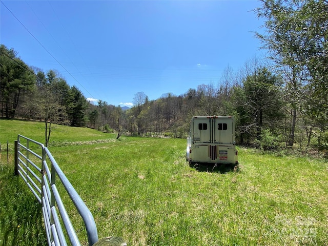 292 Crow Ln, Burnsville, NC 28714 - photo 40