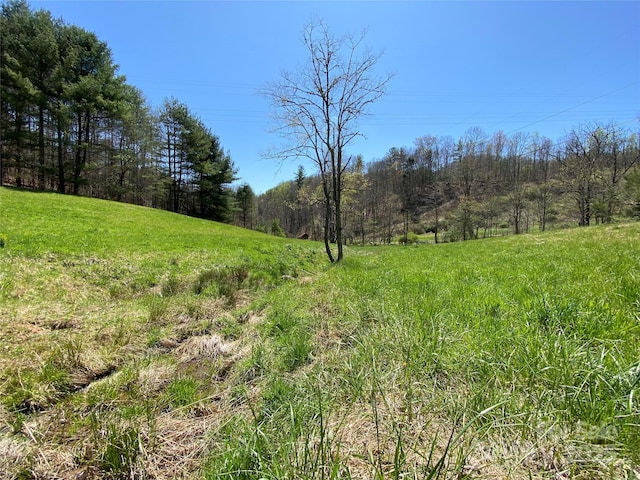 292 Crow Ln, Burnsville, NC 28714 - photo 41