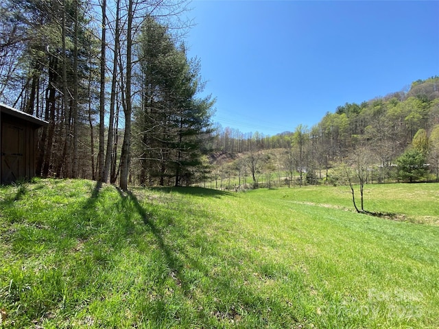 292 Crow Ln, Burnsville, NC 28714 - photo 43