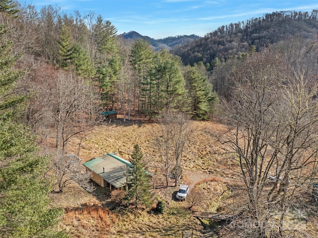 292 Crow Ln, Burnsville, NC 28714 - photo 48