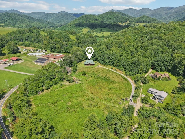 225 Fines Creek Rd, Clyde, NC 28721 - photo 2