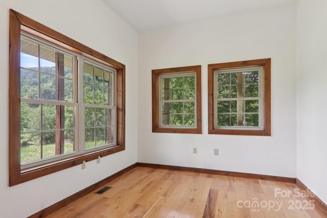 225 Fines Creek Rd, Clyde, NC 28721 - photo 18