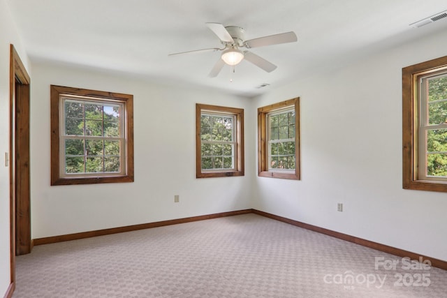 225 Fines Creek Rd, Clyde, NC 28721 - photo 30