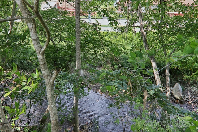 225 Fines Creek Rd, Clyde, NC 28721 - photo 40