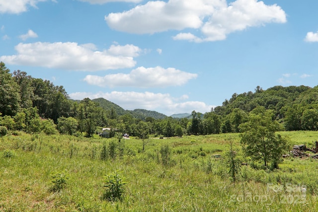 225 Fines Creek Rd, Clyde, NC 28721 - photo 41