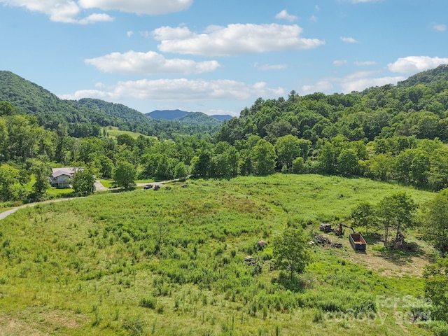 225 Fines Creek Rd, Clyde, NC 28721 - photo 43