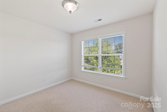 138 Black River Rd, Fletcher, NC 28732 - photo 23