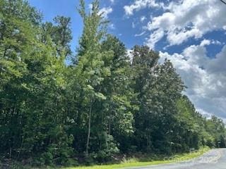 0 Simpson Rd, Waxhaw, NC 28173 - photo 6