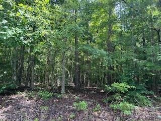 0 Simpson Rd, Waxhaw, NC 28173 - photo 8