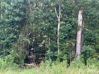 0 Simpson Rd, Waxhaw, NC 28173 - photo 9