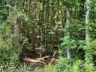 0 Simpson Rd, Waxhaw, NC 28173 - photo 10