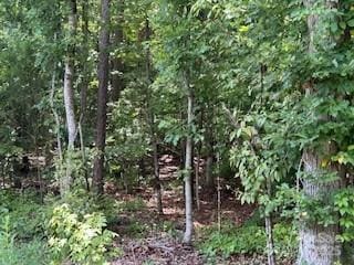 0 Simpson Rd, Waxhaw, NC 28173 - photo 11