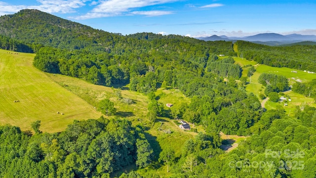 922 Prathers Creek Church Rd, Laurel Springs, NC 28644 - photo 41