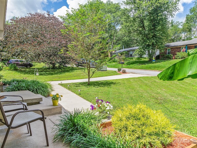 109 Wicklow Dr, Asheville, NC 28806 - photo 3