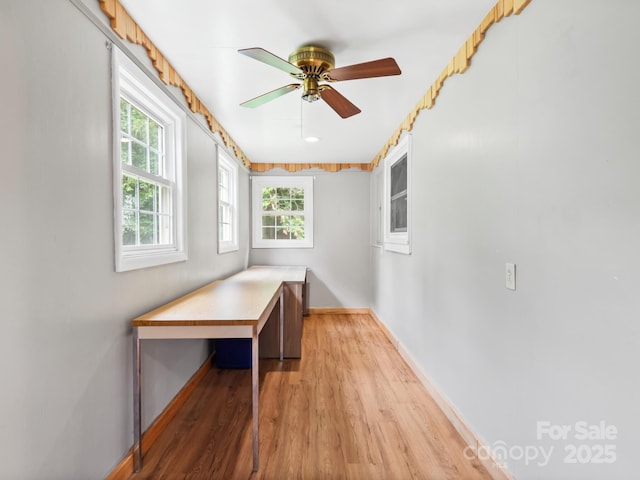 91 Rice Branch Rd, Asheville, NC 28804 - photo 18