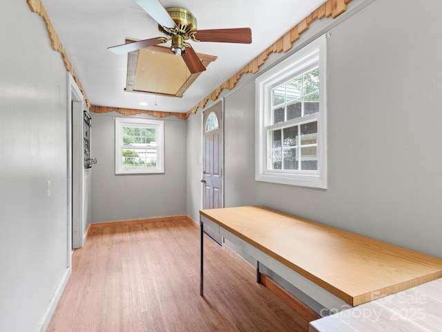 91 Rice Branch Rd, Asheville, NC 28804 - photo 19