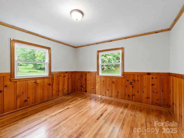 91 Rice Branch Rd, Asheville, NC 28804 - photo 20