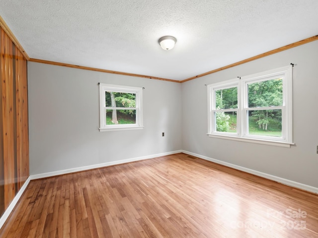 91 Rice Branch Rd, Asheville, NC 28804 - photo 24