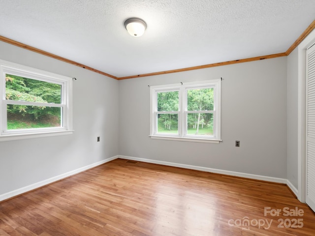 91 Rice Branch Rd, Asheville, NC 28804 - photo 25