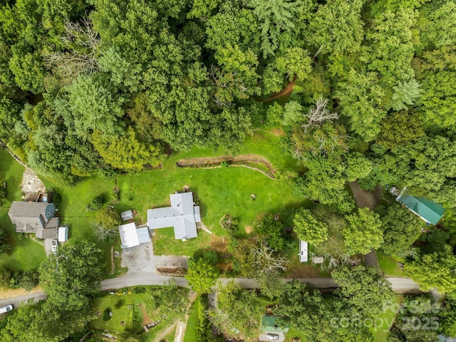 91 Rice Branch Rd, Asheville, NC 28804 - photo 41