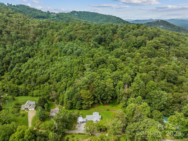 91 Rice Branch Rd, Asheville, NC 28804 - photo 42