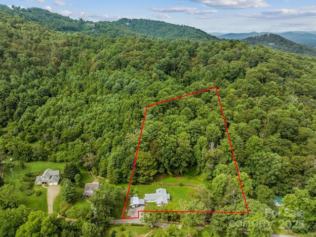 91 Rice Branch Rd, Asheville, NC 28804 - photo 43
