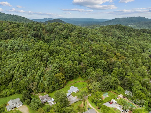 91 Rice Branch Rd, Asheville, NC 28804 - photo 44