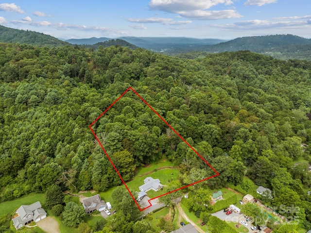 91 Rice Branch Rd, Asheville, NC 28804 - photo 45