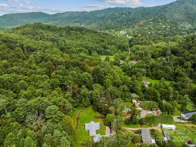 91 Rice Branch Rd, Asheville, NC 28804 - photo 46