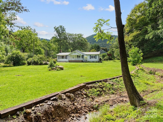 91 Rice Branch Rd, Asheville, NC 28804 - photo 4