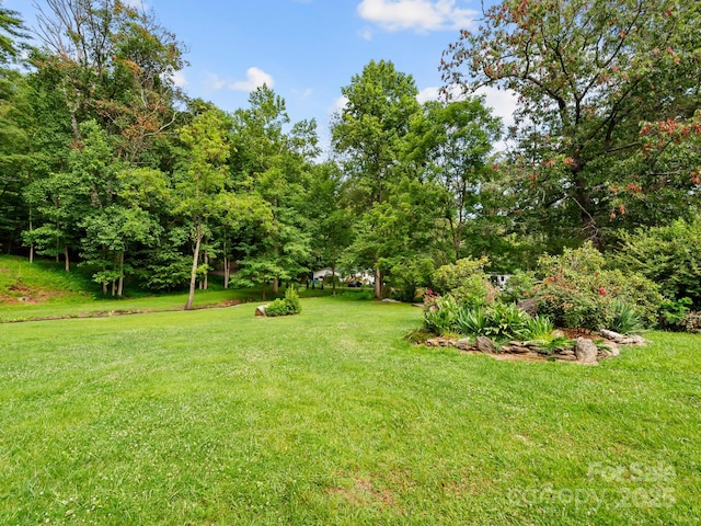 91 Rice Branch Rd, Asheville, NC 28804 - photo 5