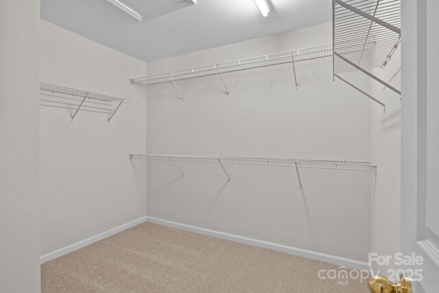 19601 Denae Lynn Dr, Cornelius, NC 28031 - photo 16