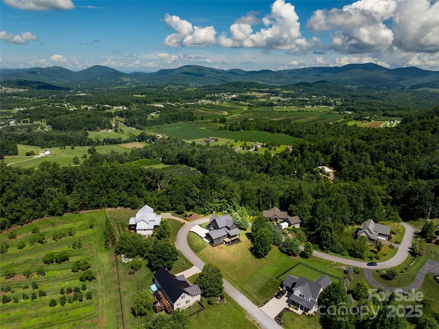 253 Eagles Eye Dr, Hendersonville, NC 28792 - photo 31