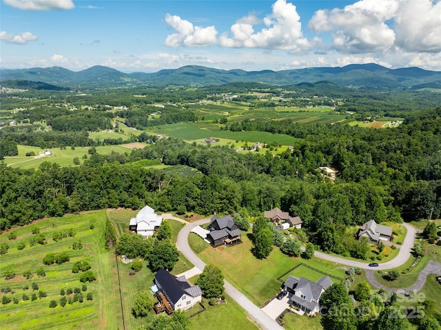 253 Eagles Eye Dr, Hendersonville, NC 28792 - photo 34
