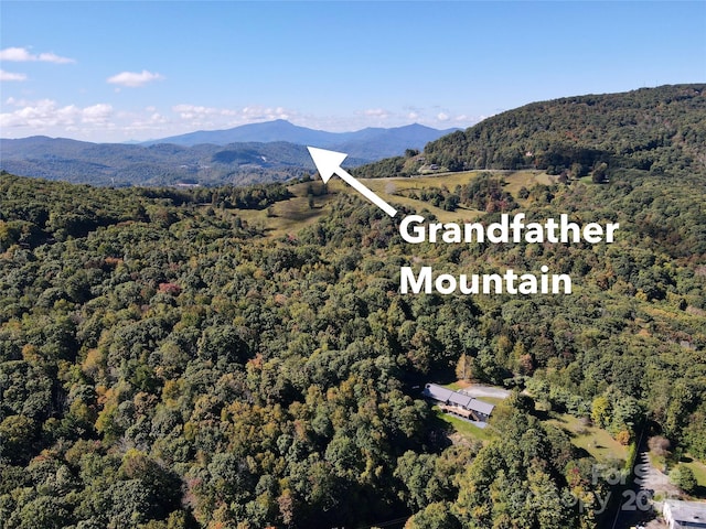 298 Patricelli St, Boone, NC 28607 - photo 4